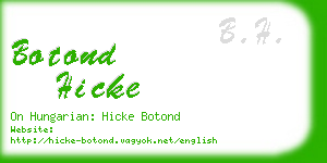 botond hicke business card